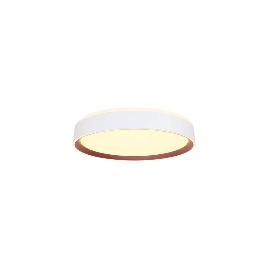 LED Prigušiva plafonjera sa glasovnim upravljanjem OPAL LED/48W/230V 2700-6500K bela + Daljinski upravljač
