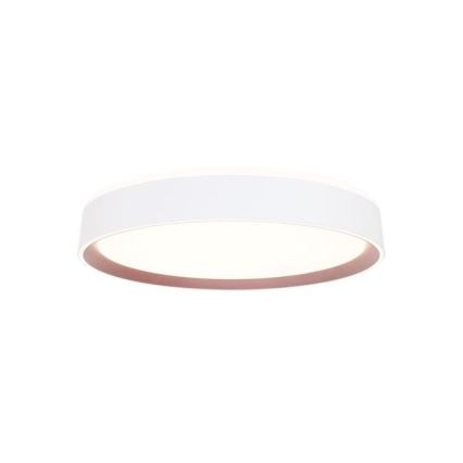 LED Prigušiva plafonjera sa glasovnim upravljanjem OPAL LED/48W/230V 2700-6500K bela + Daljinski upravljač
