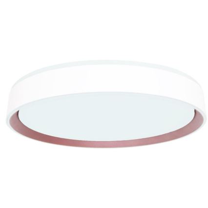 LED Prigušiva plafonjera sa glasovnim upravljanjem OPAL LED/48W/230V 2700-6500K bela + Daljinski upravljač