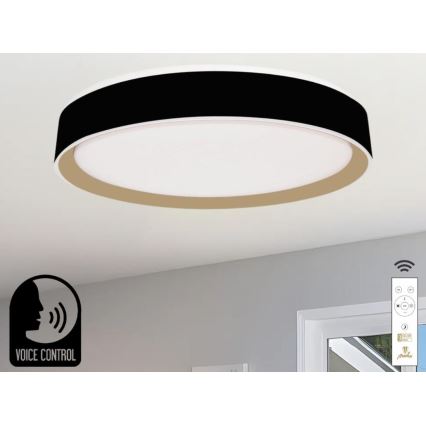 LED Prigušiva plafonjera sa glasovnim upravljanjem OPAL LED/48W/230V 2700-6500K crno + Daljinski upravljač