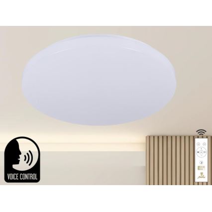 LED Prigušiva plafonjera sa glasovnim upravljanjem OPAL LED/48W/230V 2700-6500K bela + Daljinski upravljač