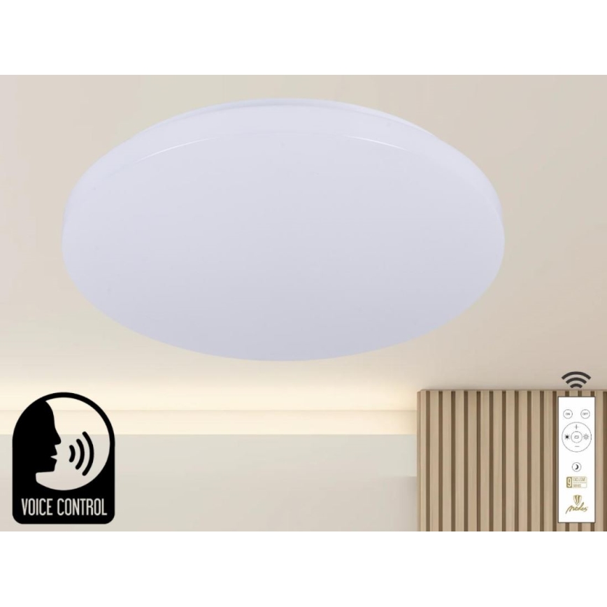 LED Prigušiva plafonjera sa glasovnim upravljanjem OPAL LED/48W/230V 2700-6500K bela + Daljinski upravljač