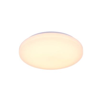 LED Prigušiva plafonjera sa glasovnim upravljanjem OPAL LED/48W/230V 2700-6500K bela + Daljinski upravljač