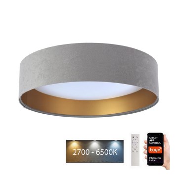 LED Prigušiva plafonjera SMART GALAXY LED/24W/230V pr. 45 cm 2700-6500K Wi-Fi Tuya sivo/zlatna + Daljinski upravljač