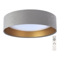 LED Prigušiva plafonjera SMART GALAXY LED/24W/230V sivo/zlatna 3000-6500K + Daljinski upravljač