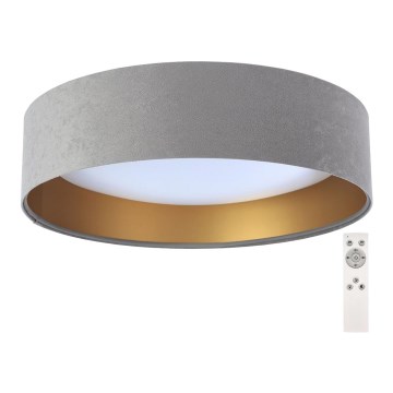 LED Prigušiva plafonjera SMART GALAXY LED/24W/230V sivo/zlatna 3000-6500K + Daljinski upravljač