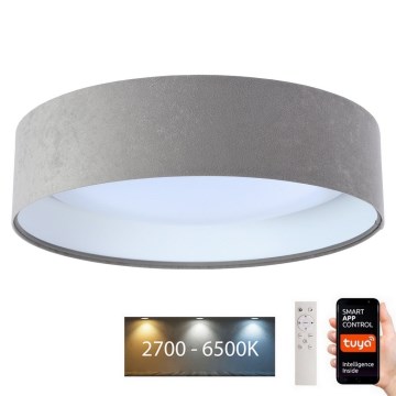 LED Prigušiva plafonjera SMART GALAXY LED/36W/230V pr. 55 cm 2700-6500K Wi-Fi Tuya sivo/bela + Daljinski upravljač