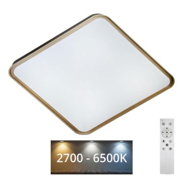 LED Prigušiva plafonjera UNA LED/60W/230V 2700-6500K 50x50 cm + Daljinski upravljač