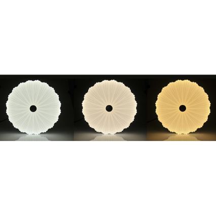 LED prigušiva plafonska svetiljka FLOWER LED/36W/230V + daljinski upravljač