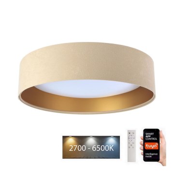 LED prigušiva plafonska svetiljka SMART GALAXY LED/24W/230V prečnik 45 cm 2700-6500K Wi-Fi Tuya bežna/zlatna + daljinski upravljač