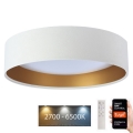 LED prigušiva plafonska svetiljka SMART GALAXY LED/36W/230V prečnik 55 cm 2700-6500K Wi-Fi Tuya bela/zlatna + daljinski upravljač
