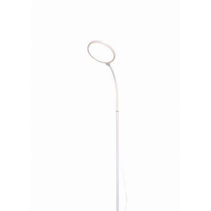 LED Prigušiva podna lampa 2u1 LED/10W/230V bela