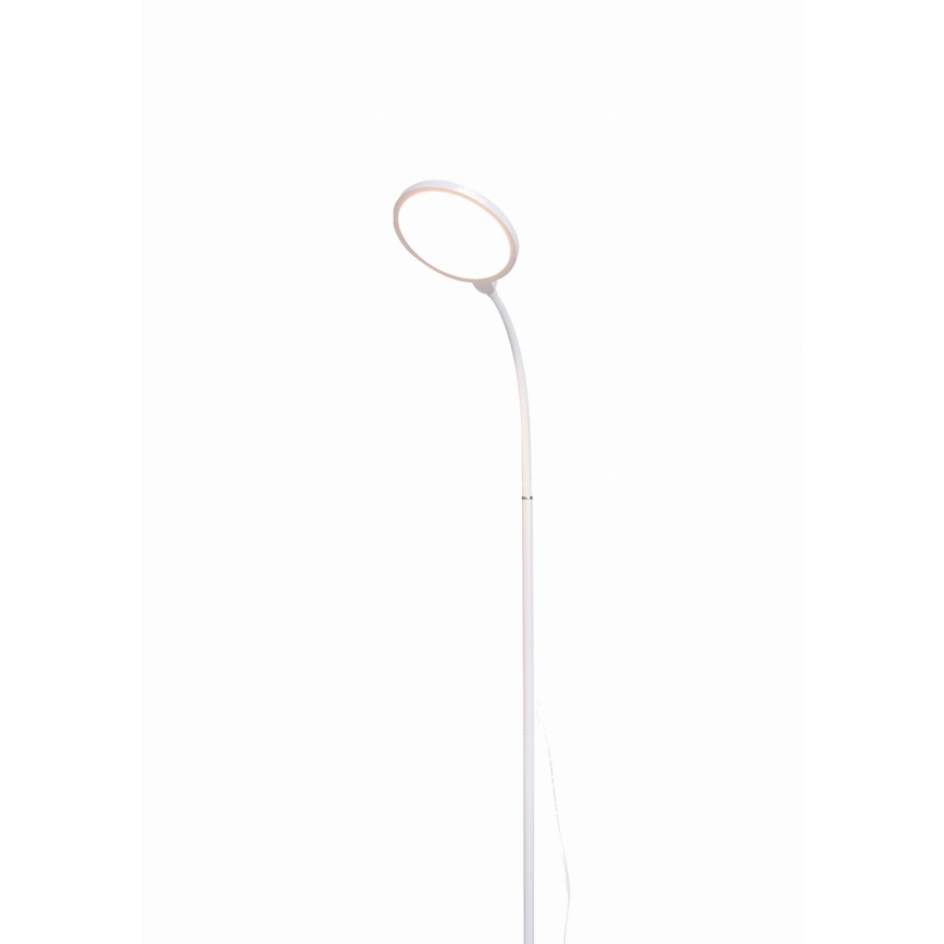 LED Prigušiva podna lampa 2u1 LED/10W/230V bela