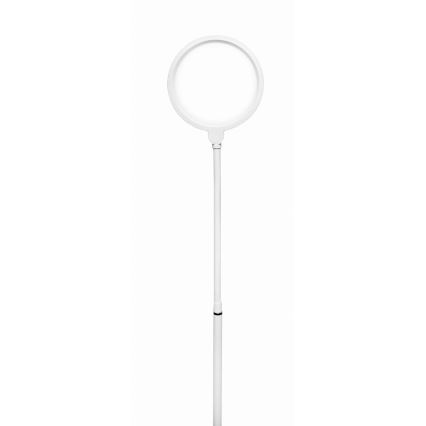 LED Prigušiva podna lampa 2u1 LED/10W/230V bela