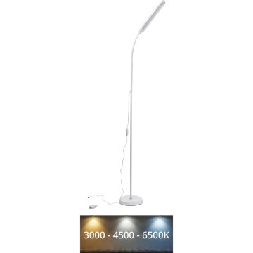LED Prigušiva podna lampa SIGNUS LED/10W/230V 3000/4500/6500K bela