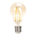 LED Prigušiva sijalica FILAMENT A60 E27/6W/230V 2200K - Aigostar