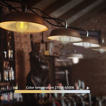 LED Prigušiva sijalica FILAMENT G45 E27/4,5W/230V 2700-6500K Wi-Fi - Aigostar