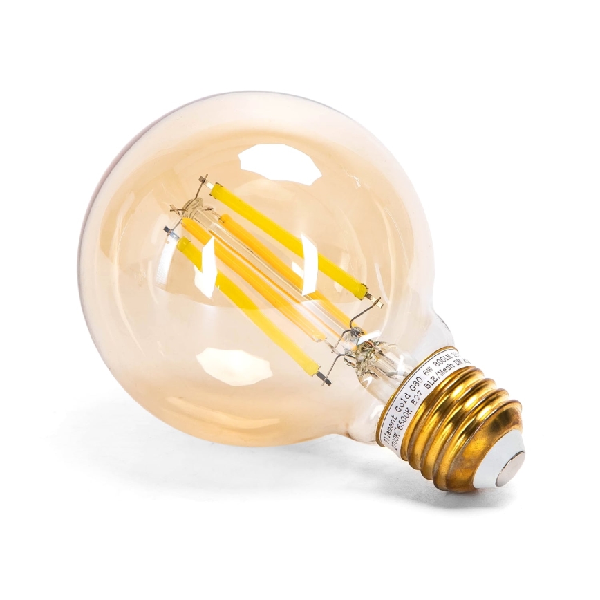LED Prigušiva sijalica FILAMENT MESH Smart G80 E27/6W/230V 2700-6500K - Aigostar