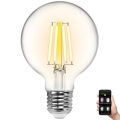 LED Prigušiva sijalica FILAMENT G80 E27/6W/230V 2700-6500K Wi-Fi - Aigostar