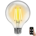LED Prigušiva sijalica FILAMENT G95 E27/6W/230V 2700-6500K Wi-Fi - Aigostar