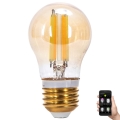 LED Prigušiva sijalica FILAMENT MESH Smart G45 E27/4,5W/230V 2700-6500K - Aigostar