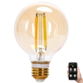 LED Prigušiva sijalica FILAMENT MESH Smart G80 E27/6W/230V 2700-6500K - Aigostar