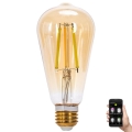 LED Prigušiva sijalica FILAMENT MESH Smart ST64 E27/6W/230V 2700-6500K - Aigostar