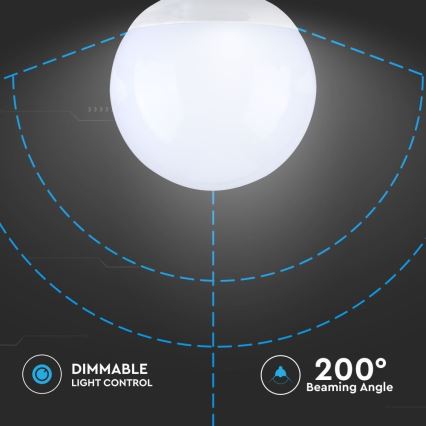 LED Prigušiva sijalica G120 E27/13W/230V 6400K