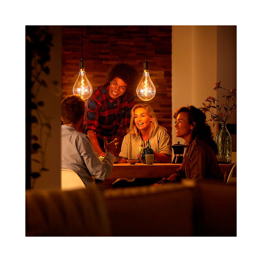 LED Prigušiva sijalica VINTAGE DYI E27/4W/230V 2700K - Leuchten Direkt 0846