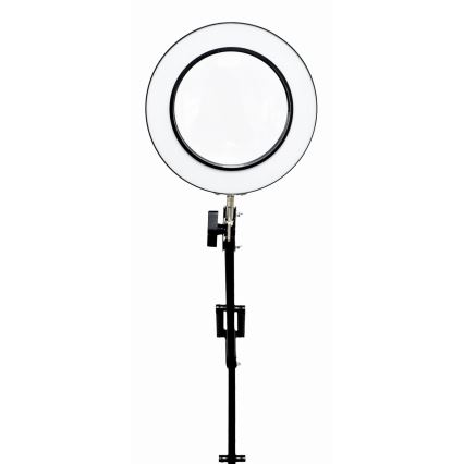 LED Prigušiva stona lampa sa lupom LED/10W/230V 3000/4500/6000K