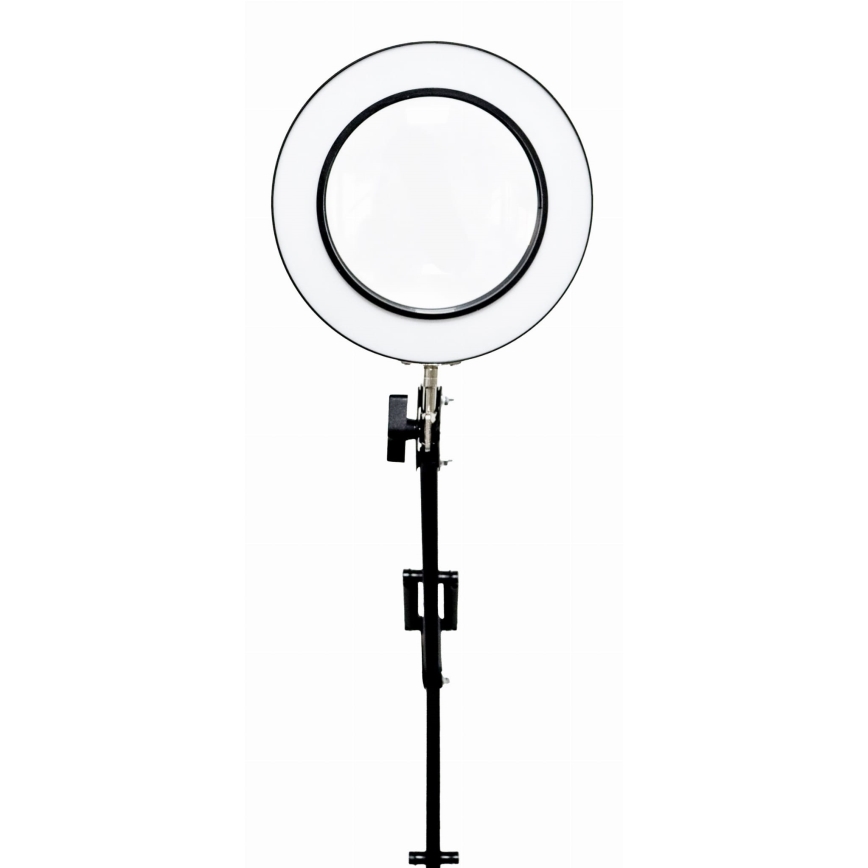 LED Prigušiva stona lampa sa lupom LED/10W/230V 3000/4500/6000K