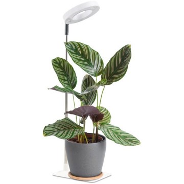 LED prigušiva stona lampa za uzgoj biljaka VERDI LED/5W/5V 1300K CRI 95 bela