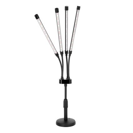 LED Prigušiva fleksibilna stona lampa za uzgoj biljaka VITARO 4xLED/10W/230V crno