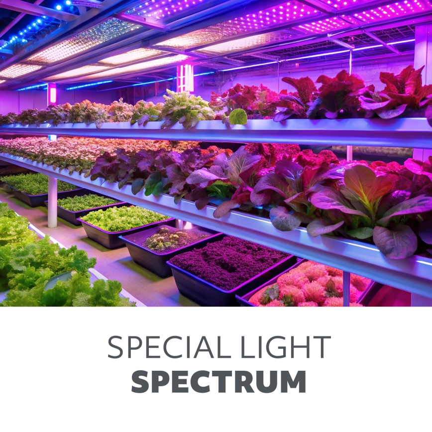LED Prigušiva fleksibilna stona lampa za uzgoj biljaka VITARO 4xLED/10W/230V crno