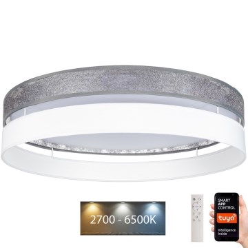 LED prigušiva stropna svetiljka LIMA LED/36W/230V 2700-6500K Wi-Fi Tuya + daljinski upravljač srebrna/bela