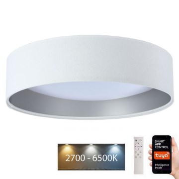 LED prigušiva stropna svetiljka SMART GALAXY LED/36W/230V prečnik 55 cm 2700-6500K Wi-Fi Tuya bela/srebrna + daljinski upravljač