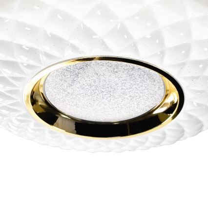 LED prigušiva stropna svetiljka TOKYO LED/48W/230V 3000-6000K + daljinski upravljač