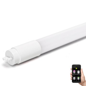 LED Prigušiva svetlosna cev MESH Smart T8/10W/230V 6500K 60 cm - Aigostar