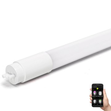LED Prigušiva svetlosna cev MESH Smart T8/18W/230V 6500K 120 cm - Aigostar