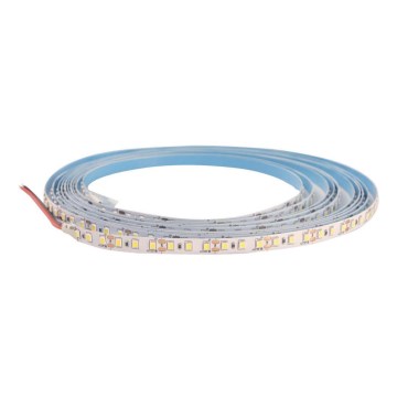 LED prigušiva traka DAISY 5m topla bela