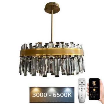 LED Prigušivi kristalni luster na lancu na šipci LED/80W/230V 3000-6500K + Daljinski upravljač