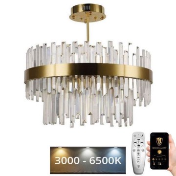 LED Prigušivi kristalni luster na lancu sa šipkom LED/80W/230V 3000-6500K zlatna + Daljinski upravljač