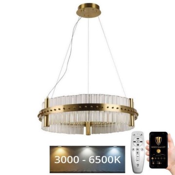 LED Prigušivi kristalni luster na sajli LED/40W/230V 3000-6500K + Daljinski upravljač
