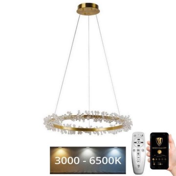 LED Prigušivi kristalni luster na sajli LED/40W/230V 3000-6500K zlatna + Daljinski upravljač