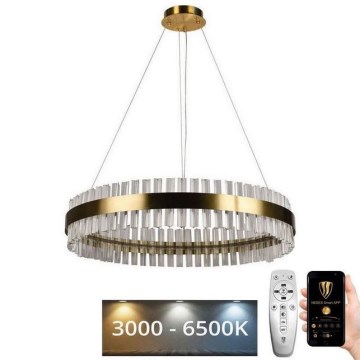 LED Prigušivi kristalni luster na sajli LED/55W/230V 3000-6500K + Daljinski upravljač