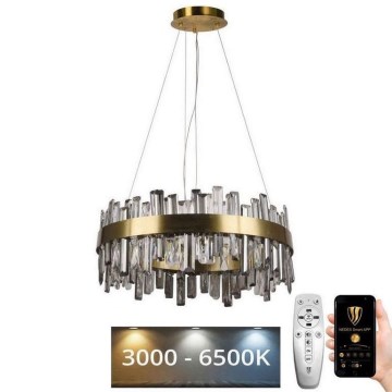 LED Prigušivi kristalni luster na sajli LED/80W/230V 3000-6500K + Daljinski upravljač