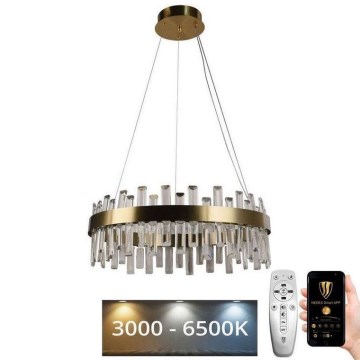 LED Prigušivi kristalni luster na sajli LED/80W/230V 3000-6500K + Daljinski upravljač