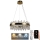 LED Prigušivi kristalni luster na sajli LED/80W/230V 3000-6500K + Daljinski upravljač