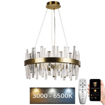 LED Prigušivi kristalni luster na sajli LED/80W/230V 3000-6500K zlatna + Daljinski upravljač