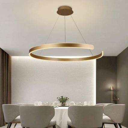 LED Prigušivi luster na sajli LED/100W/230V 3000-6500K pr. 80 cm + Daljinski upravljač